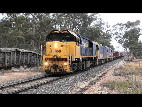 XR558-G540-8136 on 7901V departing  Maryborough.   16-01-20.   06.50.12.
