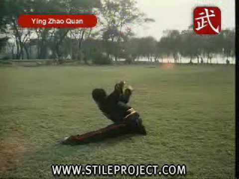 Kung Fu Eagle Claw style