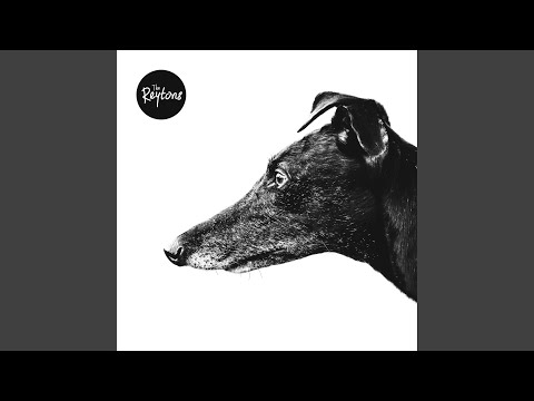 Canine - The Reytons