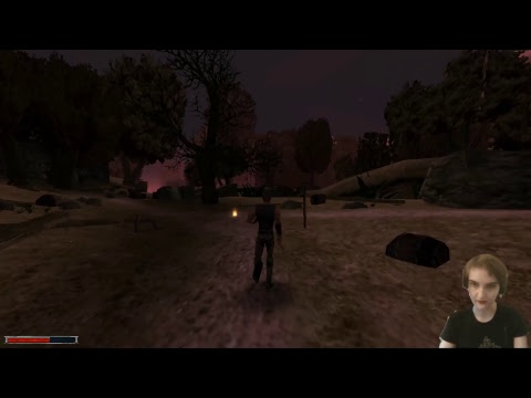 Let's Play Gothic Part 1 - going in blind!