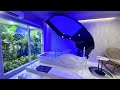 Staying At Japan S Human Washing Machine Hotel