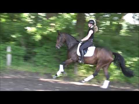 SOY LUNA 4j. v. Szenario - Quito de Baussy VB 20.000,- Euro