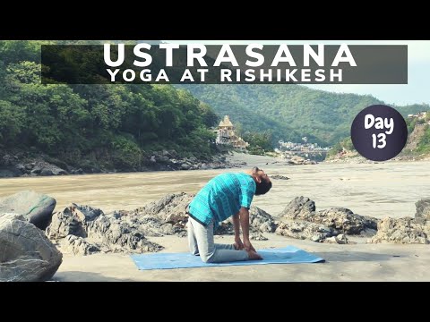 Ustrasana | how to do ustrasana | camel pose | camel pose benefits