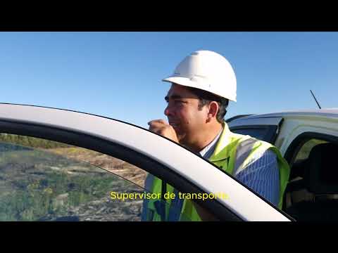 Wilson Silva - Soy Forestal