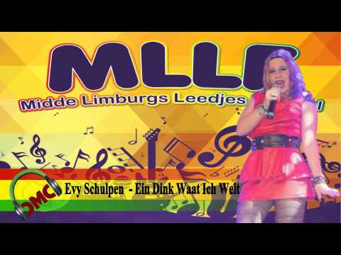 Evy Schulpen - Ein Dink Waat Ich Weit (finalist MLLF 2015)