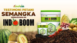 Download lagu Cerita Menarik Petani Semangka Setelah Menggunakan Indoboom! Hasilnya Diluar Dugaan! mp3