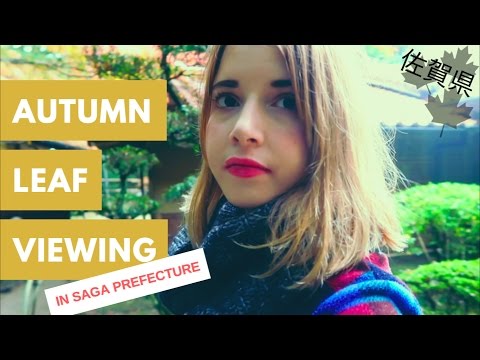 到日本看秋楓吧！(Autumn Leaf Viewing In Japan | 日本では秋の紅葉を楽しむよー！)