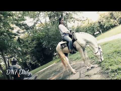 Fantastic! A Girl and A Horse At Horse Park - Horse Training - How To Teach Your Horse To Lay Down
