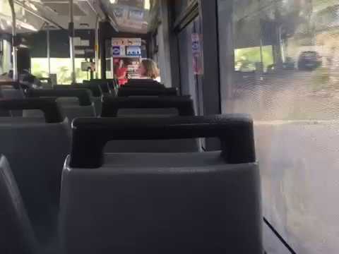 Transdev NSW m/o 7440 - Mercedes-Benz O 405 (ZF)