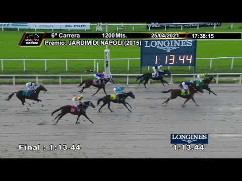 210425 c06 STORMY DAY