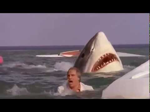 L' ULTIMO SQUALO (1980) Scena con Thomas Moore (Enio Girolami)