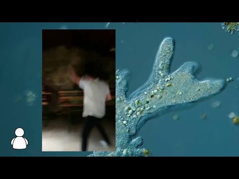 Sidro X Gabi98 - Parazit (prod. Plutto)