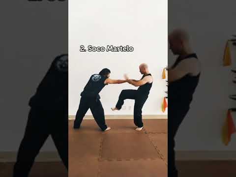 Kung Fu tradicional - Choy Lay Fut