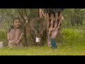 Thattan Thattan What S App Status Love Status Karnan Movie Songs Love Songs Tamil