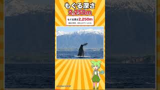 【日本では会えない動物】史上最大の脳をもつ動物、世界のどの水族館にもいない #shorts