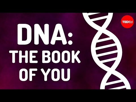 DNA: The book of you - Joe Hanson