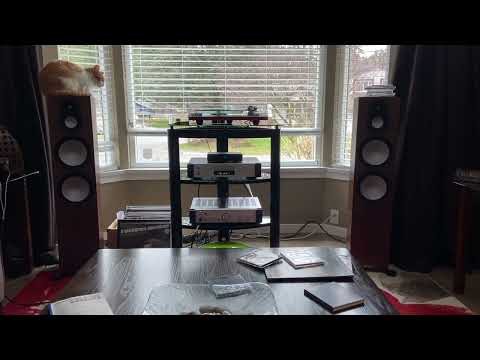 Monitor Audio Silver 500 7G. Steely Dan..