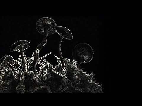 Silent Sphere - Violent Vision