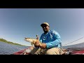 Video Thumbnail for Pike Fishing | Clarke Lake, SK