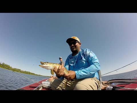 Video Thumbnail for Pike Fishing | Clarke Lake, SK