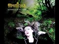 Shamrock (folk music group) - Siuil A Run (REMIX ...