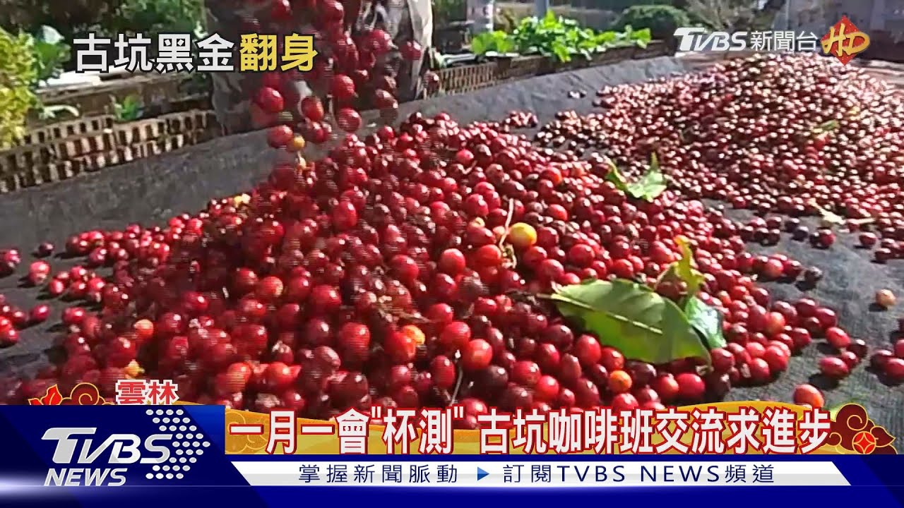 一月一會「杯測」 古坑咖啡班交流求進步