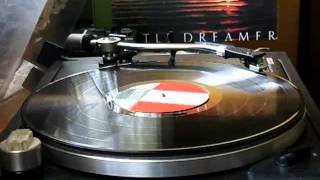 06 Walkin` The Road - Peter Gren-Little Dreamer #1980# LP Vinyl