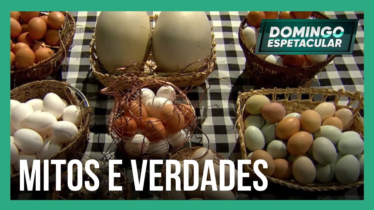 Paixão nacional: conheça os mitos e verdades sobre o ovo