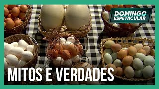 Paixão nacional: conheça os mitos e verdades sobre o ovo