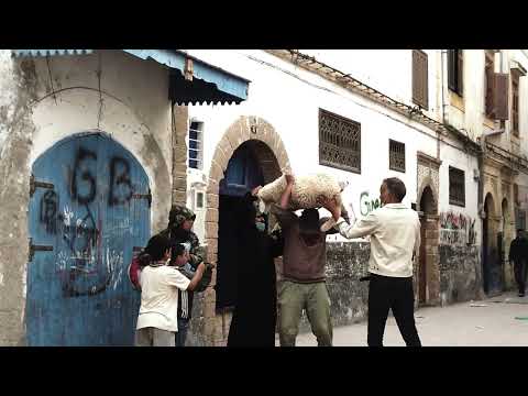 AB UNO - Les Gens De Mogador (Official Teaser - 2)