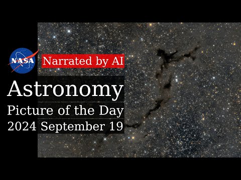 APOD: 2024-09-19 - The Dark Seahorse of Cepheus (Narrated by Joanna)