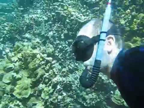 Majuro Lagoon, Coral Reef Snorkeling, Marshall Islands, Berger
