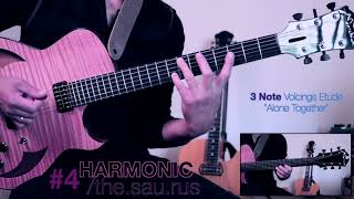 Video: HARMONIC /the-sau-rus #4