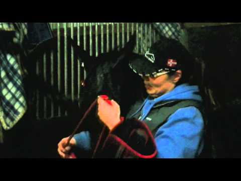 Cash Only, Qualifier Victoria Park Wolvega 03-12-2011.