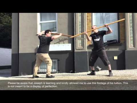 Mair halberd one. From a private lesson