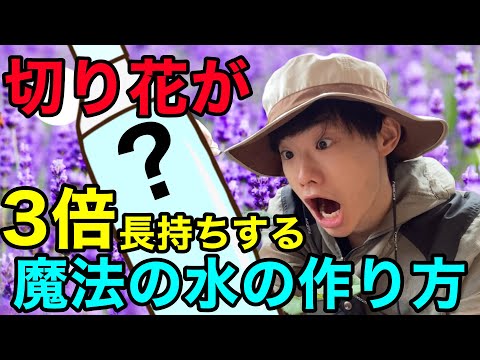 蘭を長く咲かせる方法