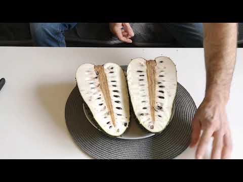 O.198 Tropikalne smaki: owoc Guanabana, Sousop, Flaszowiec, Graviola. Tyle nazw a jeden owoc