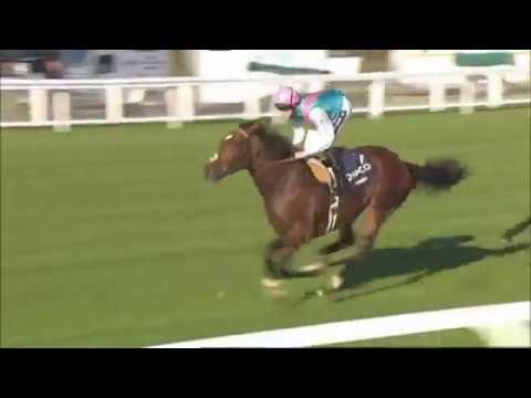 Top 10 Queen Elizabeth II Stakes Winners 1970 - 2017