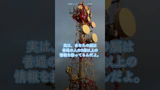 声が強いだけで脳が警告を出す