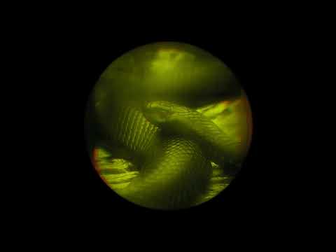 Y-NØT - Techno Never Dies