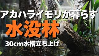 【アクアテラリウム】アカハライモリが暮らす水没林の制作 | 30cm水槽立ち上げ