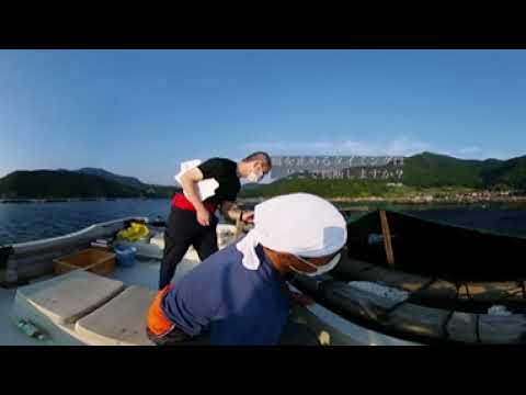 【福井県立大学】先端増養殖科学科　水産ビジネス情報解析分野「フグ養殖体験動画」