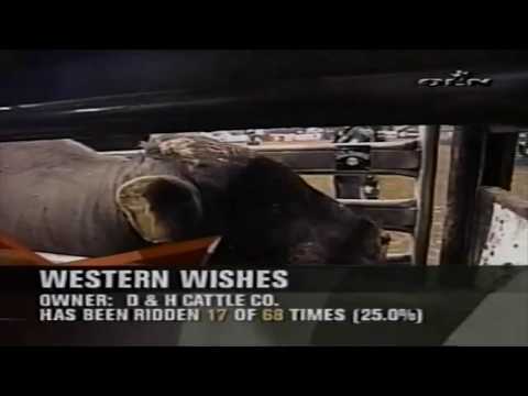 Western Wishes bucks Jaron Nunnemaker - 03 PBR Little Rock