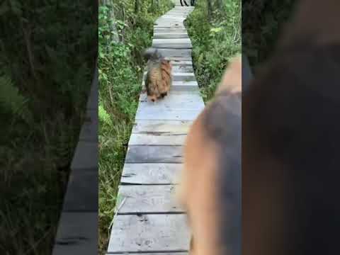 What think about this Situation #nature