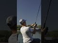 RHEIN BARBE Nicht Zu Halten Feedern Am Limit Feederfishing Fishing Angeln