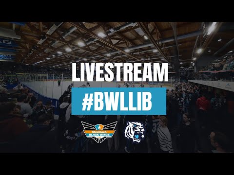 Pre-Season Game 2 I Steinbach Black Wings Linz - Bílí Tygři Liberec