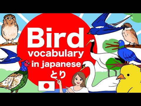 YouTube video about: How to say bird in japanese?