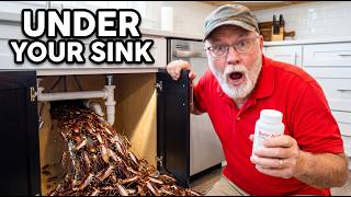 Why Don’t Cruise Have Roaches? The $2 Secret Hidden Under Every Kitchen Sin