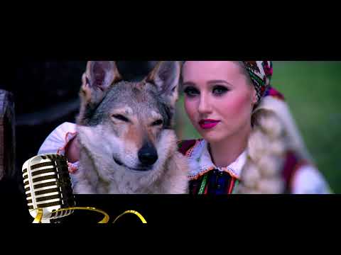 55. KFPP w Opolu – "Premiery" – Zwiastun koncertu