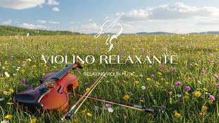 Evening Violin Melody for Calm & Peace | Violino Relaxante